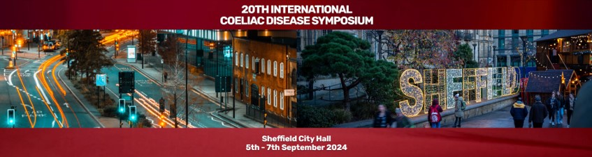 ICDS Sheffield 2024